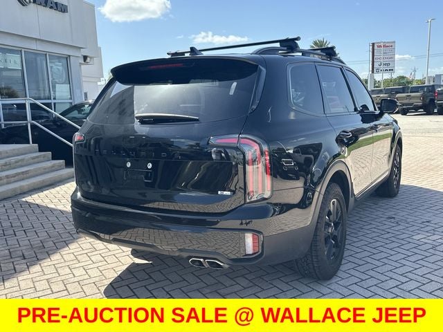 2025 Kia Telluride — detail view